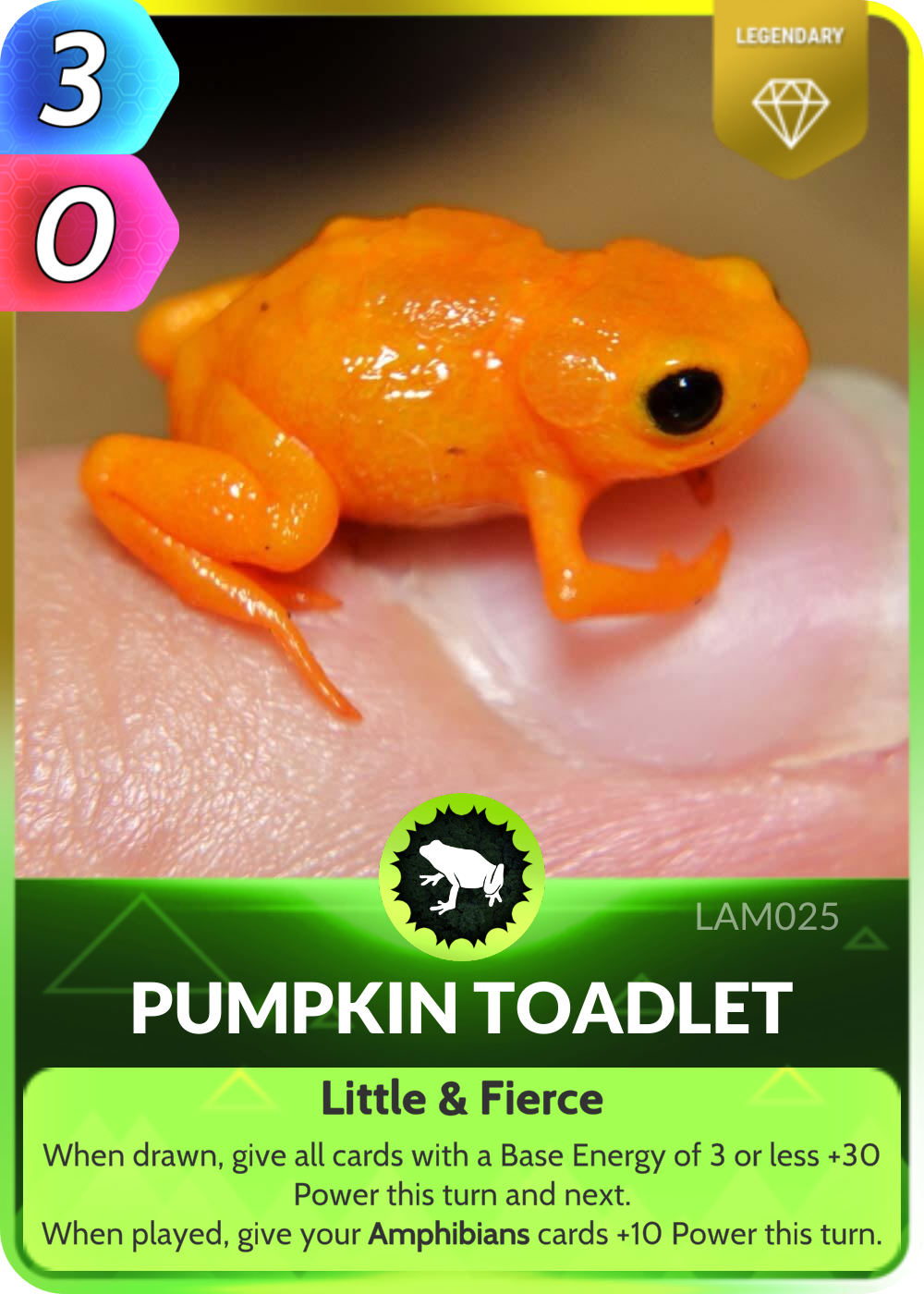 Pumpkin toadlet